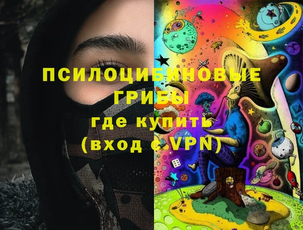 амф Арсеньев