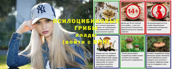 амф Арсеньев