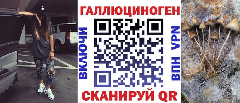 Псилоцибиновые грибы Psilocybe  кракен как зайти  Соль-Илецк  сколько стоит 